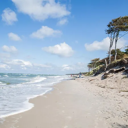 Дом отдыха Haubenlerche 53 Fuhlendorf (Mecklenburg-Vorpommern)